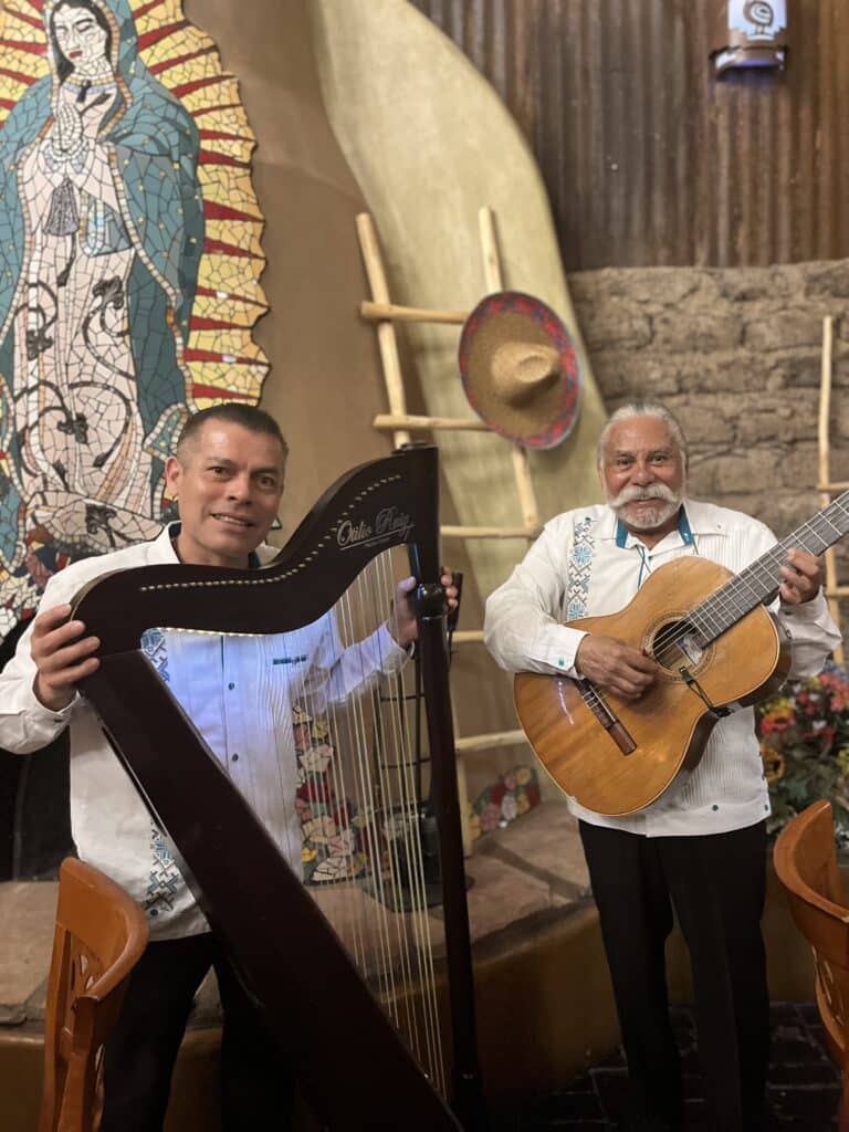 man playing a harp